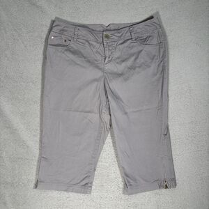 Lane Bryant Capri Pants Women’s Size 16 Gray Cotton Zip Accent Minimalist Basics